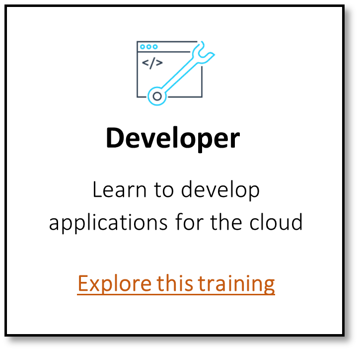 aws_developer.png